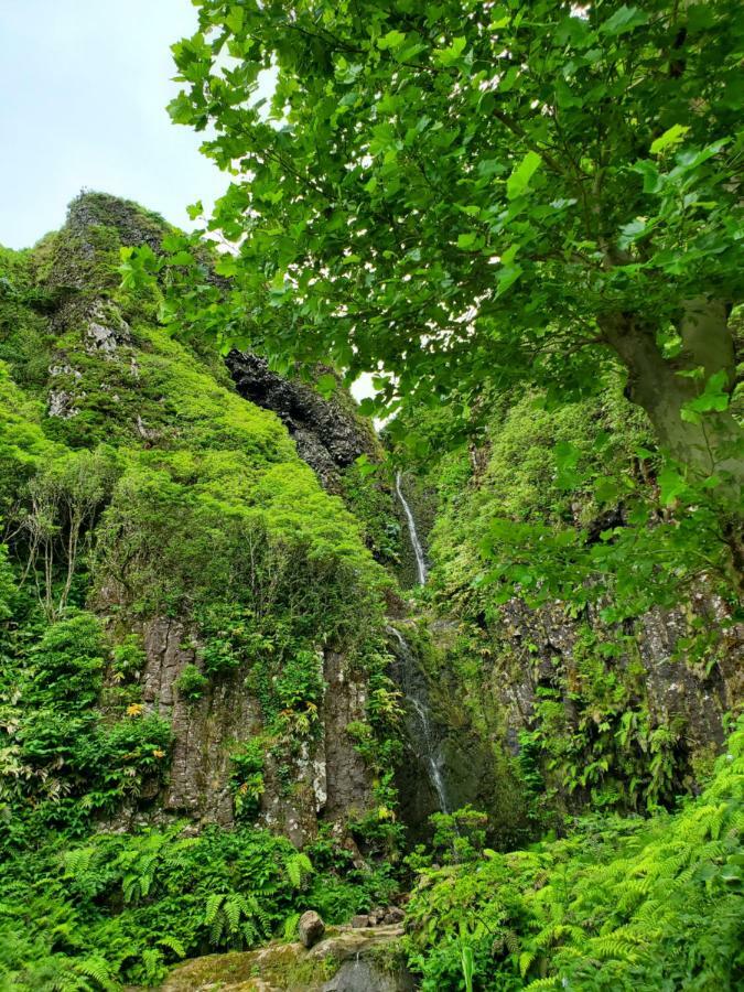 Casa Fagundes Villa Faja Grande Ngoại thất bức ảnh